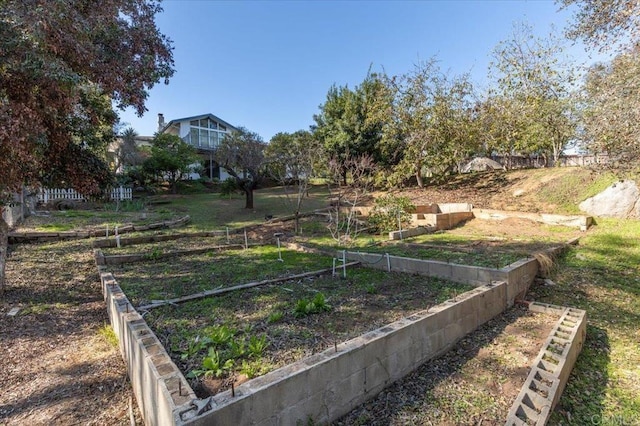 view of yard featuring a vegetable garden