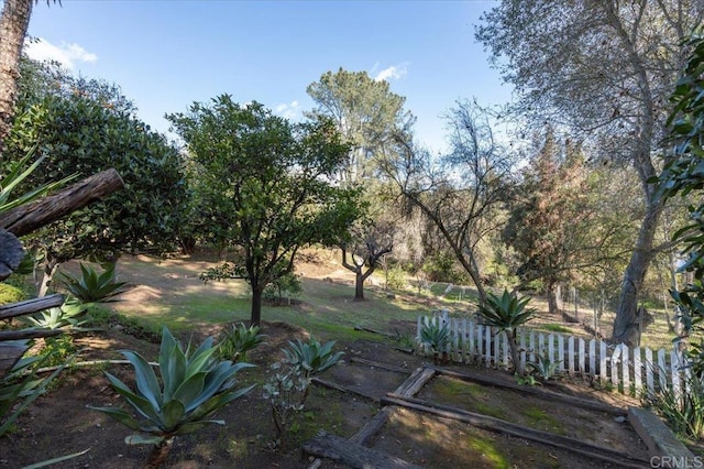 view of yard with fence