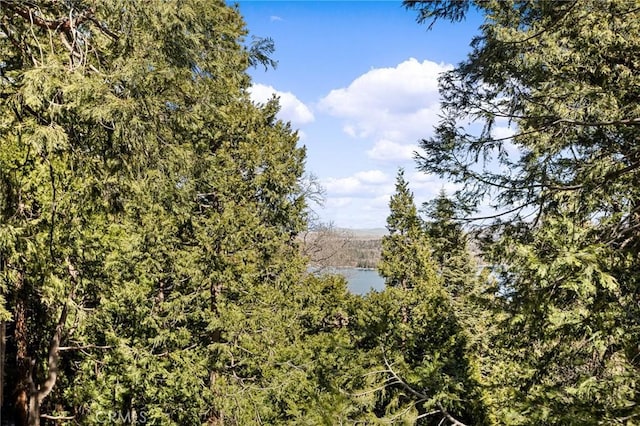 property view of water featuring a view of trees