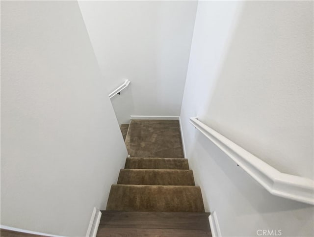 staircase featuring carpet flooring