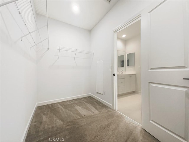 walk in closet featuring a sink and carpet flooring