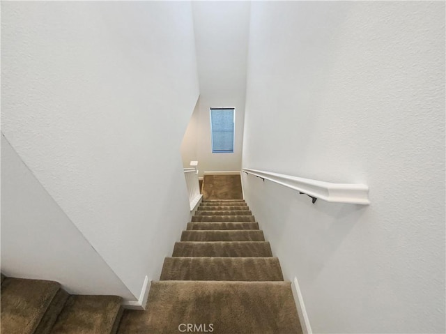 stairway featuring carpet flooring