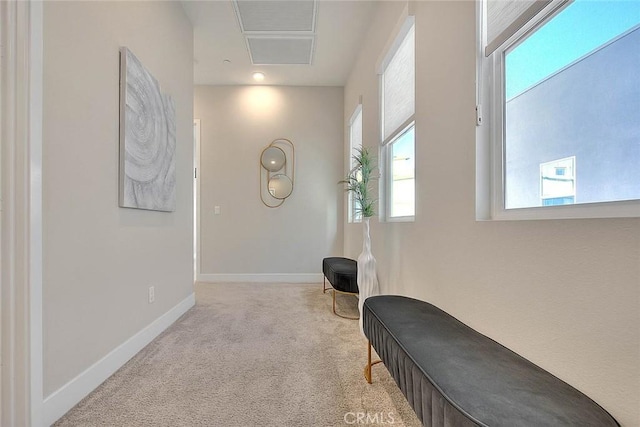 114 Source, Irvine, CA 92618 - hallway with carpet floors and baseboards