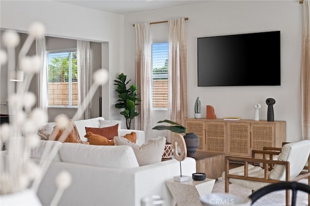 living area featuring a wealth of natural light