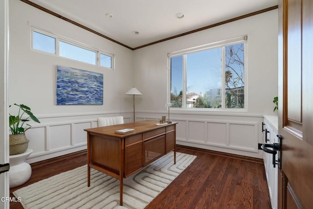 office featuring dark wood-style floors, a wainscoted wall, and ornamental molding