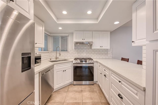 kitchen with a sink, under cabinet range hood, appliances with stainless steel finishes, a raised ceiling, and backsplash