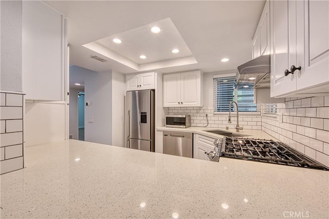 kitchen with light stone countertops, a tray ceiling, decorative backsplash, stainless steel appliances, and a sink