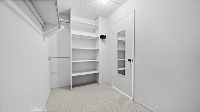 spacious closet featuring carpet floors