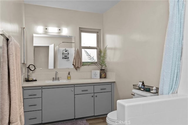 bathroom featuring a shower with shower curtain, toilet, wood finished floors, and vanity