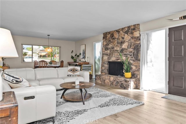 living room featuring a fireplace and wood finished floors