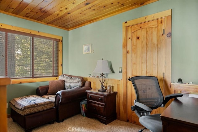 interior space featuring a wainscoted wall, carpet floors, and wood ceiling