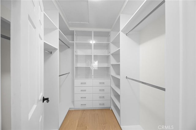 spacious closet with light wood-type flooring