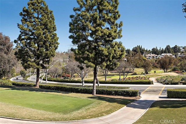 view of property's community with a lawn
