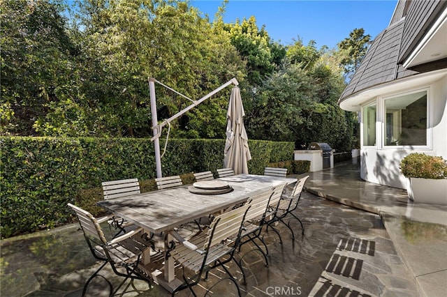 view of patio / terrace with exterior kitchen, outdoor dining area, and area for grilling