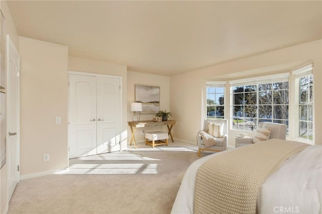 bedroom featuring carpet floors, a closet, and baseboards