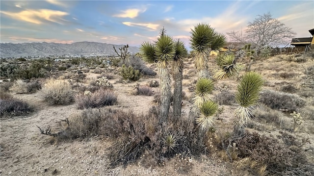55370 Bunny Rd, Yucca Valley, CA 92284 - photo 3