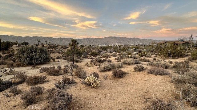 55370 Bunny Rd, Yucca Valley CA, 92284 land for sale