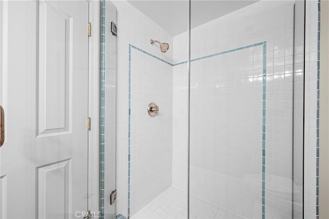 full bathroom featuring a shower stall