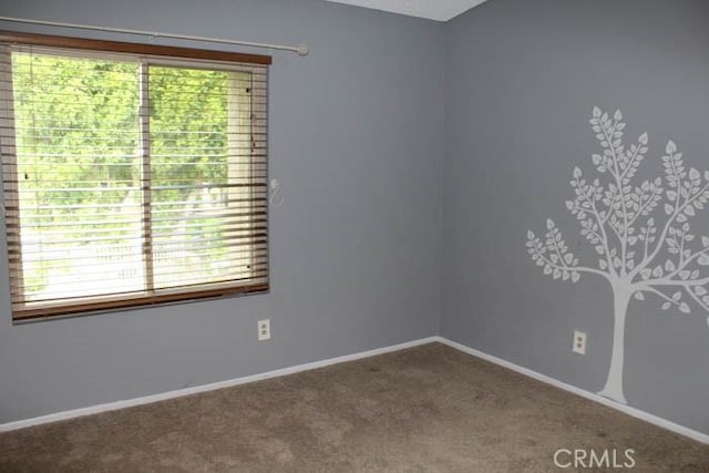 carpeted spare room featuring baseboards and a wealth of natural light