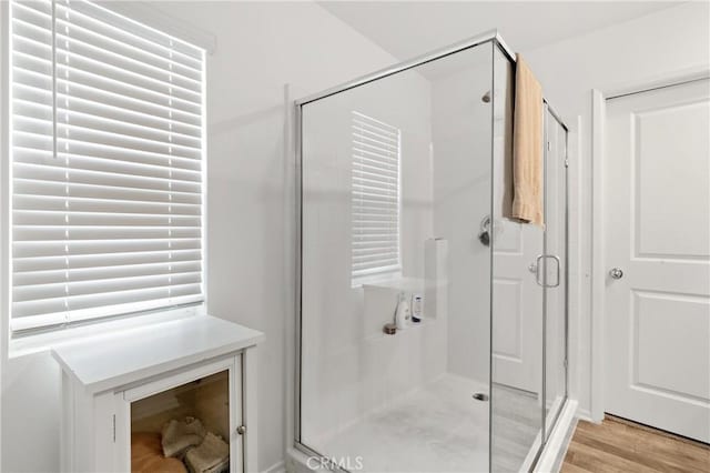 full bathroom featuring a stall shower and wood finished floors