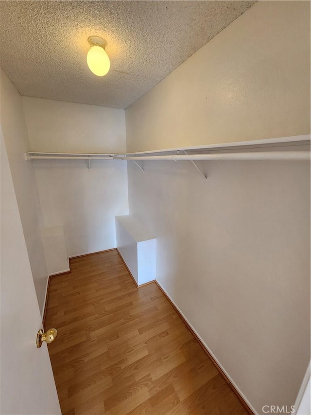 spacious closet with light wood-style floors