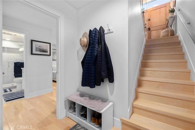 staircase featuring wood finished floors