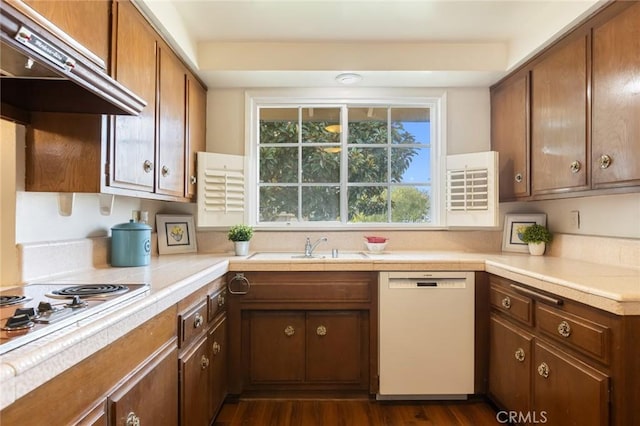 kitchen with electric stovetop, white dishwasher, light countertops, under cabinet range hood, and a sink