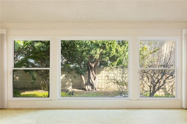 interior space with carpet and a textured ceiling