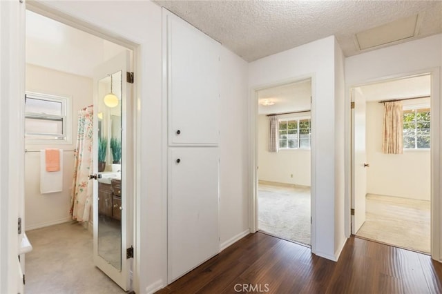 hall with a textured ceiling, dark wood-style flooring, attic access, and a healthy amount of sunlight