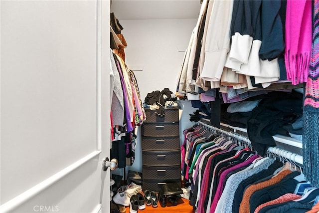 walk in closet featuring wood finished floors