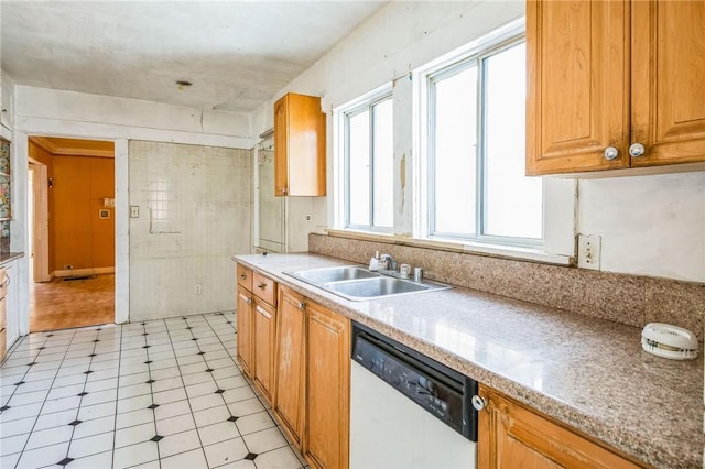 kitchen featuring dishwasher and a sink