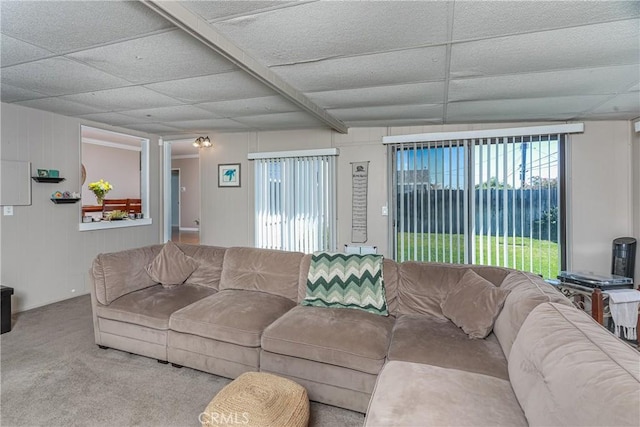 living area featuring carpet and a drop ceiling