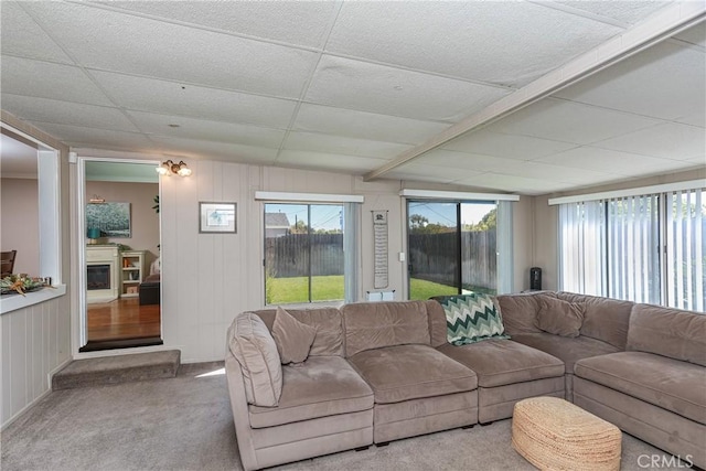 carpeted living room featuring a glass covered fireplace and a paneled ceiling