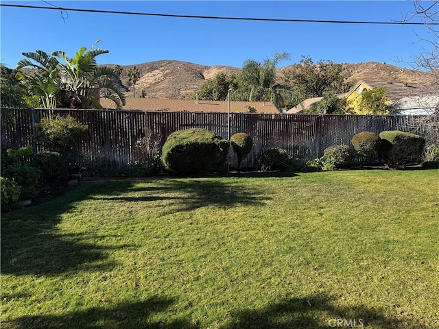 view of yard with a fenced backyard and a mountain view