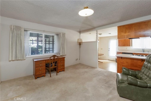 home office featuring light colored carpet and a textured ceiling