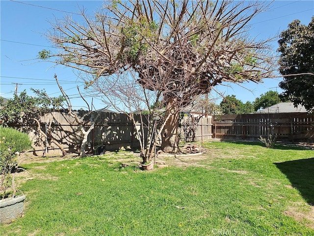 view of yard with a fenced backyard