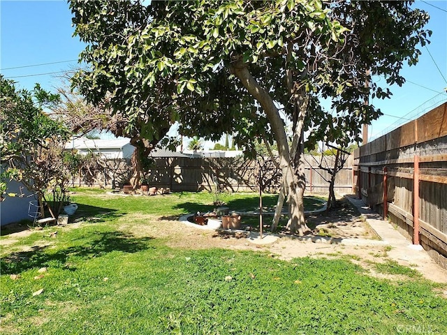 view of yard featuring a fenced backyard