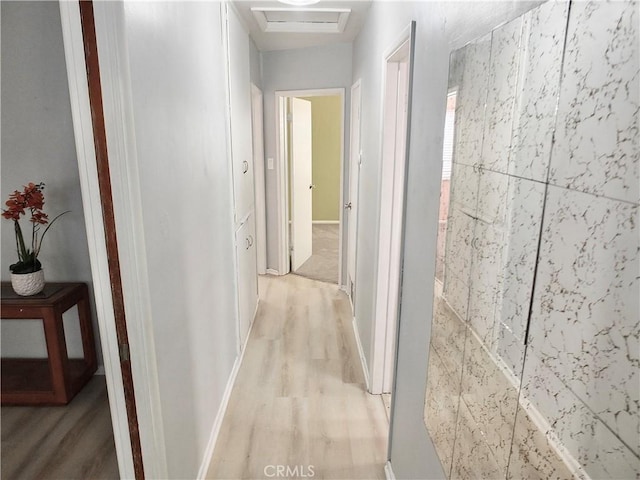 hallway with light wood-type flooring and attic access