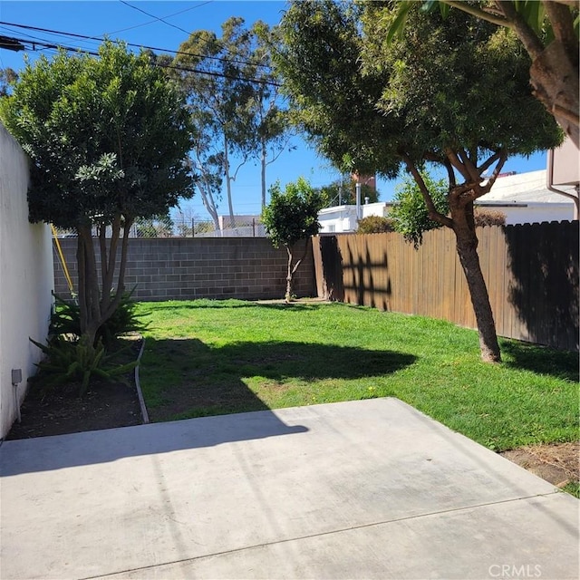 view of yard featuring a patio and a fenced backyard