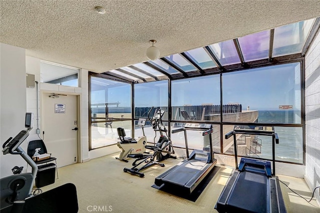 exercise room with carpet, a textured ceiling, and a view of city