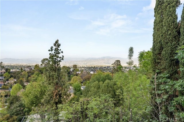 view of landscape with a mountain view and a forest view