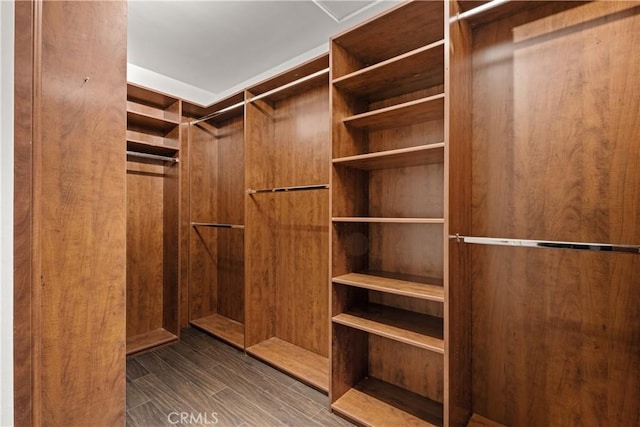 walk in closet featuring wood finished floors