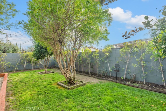 view of yard with a fenced backyard