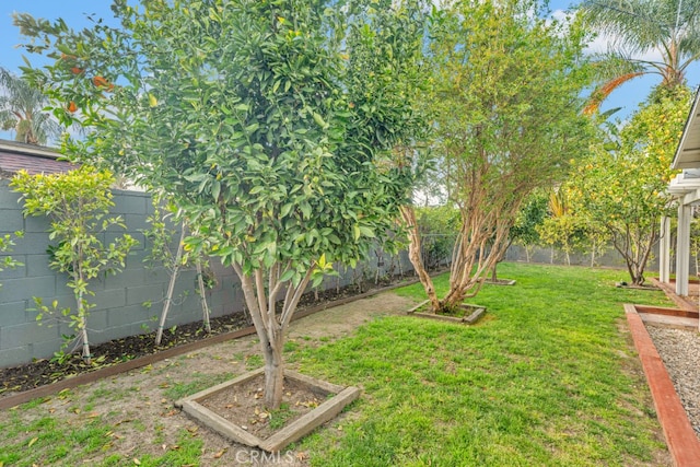 view of yard with a fenced backyard and a vegetable garden