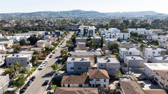 bird's eye view