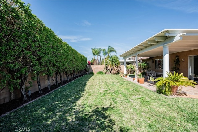 view of yard with a patio area and a fenced backyard