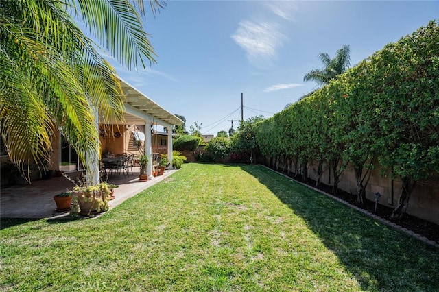 view of yard with a patio area and a fenced backyard