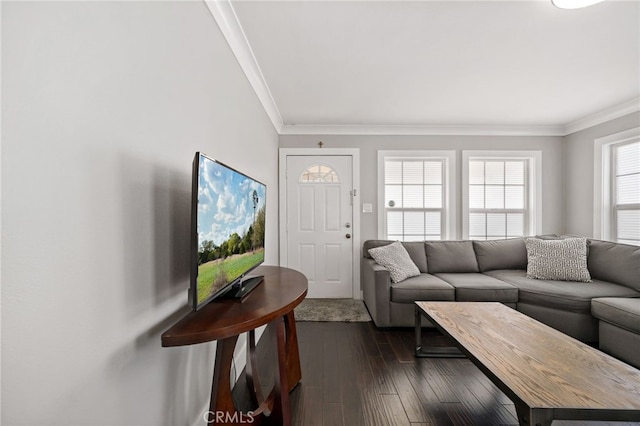 living area with dark wood-style flooring and crown molding