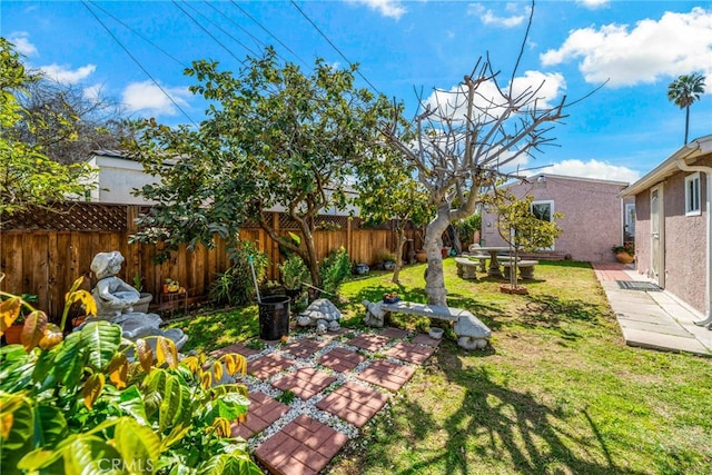 view of yard with a fenced backyard