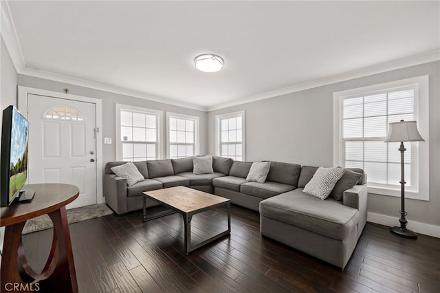 living room featuring ornamental molding, dark wood-type flooring, and baseboards